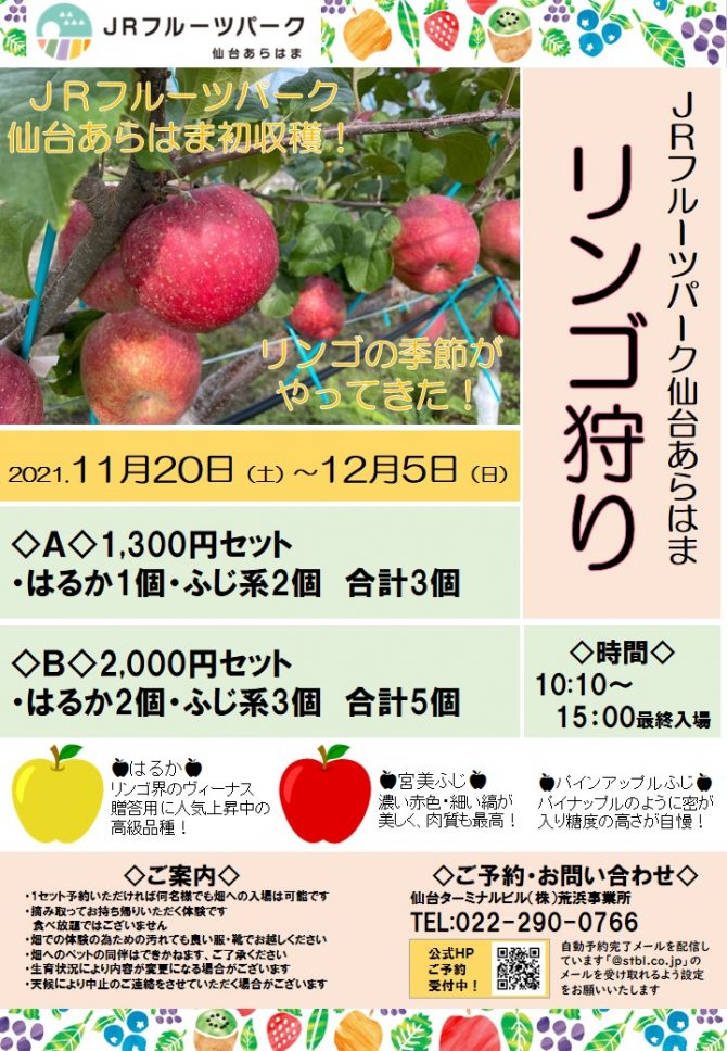 リンゴの収穫体験のお知らせ