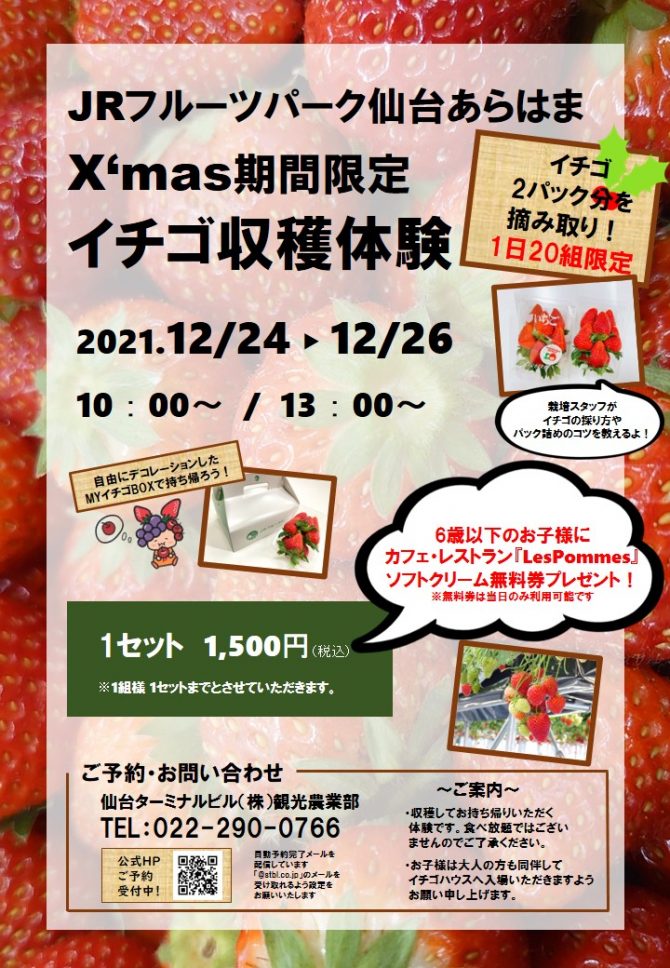 【荒浜】X‘mas期間限定イチゴ収穫体験の開催