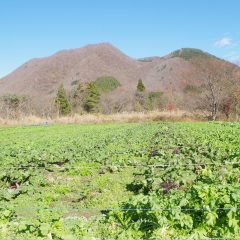 仙台の農業を知るツアー参加者アンケートの紹介