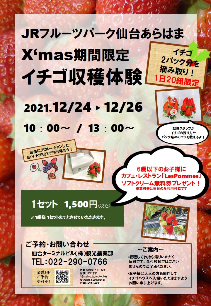 【荒浜】X‘mas期間限定イチゴ収穫体験