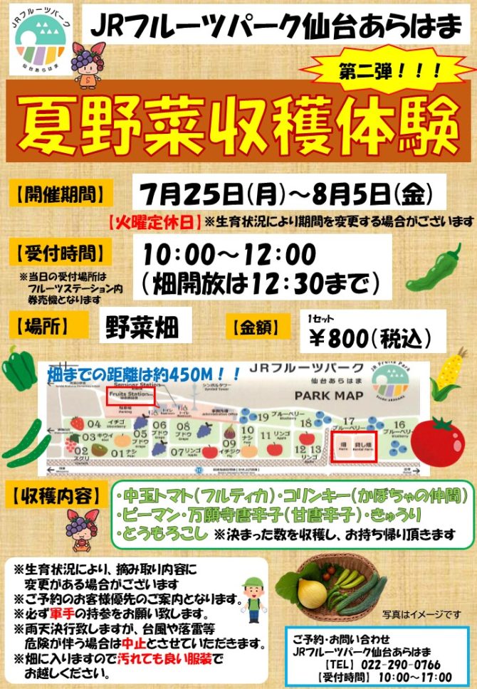 【フルパ2022】第二弾！！夏野菜収穫体験！