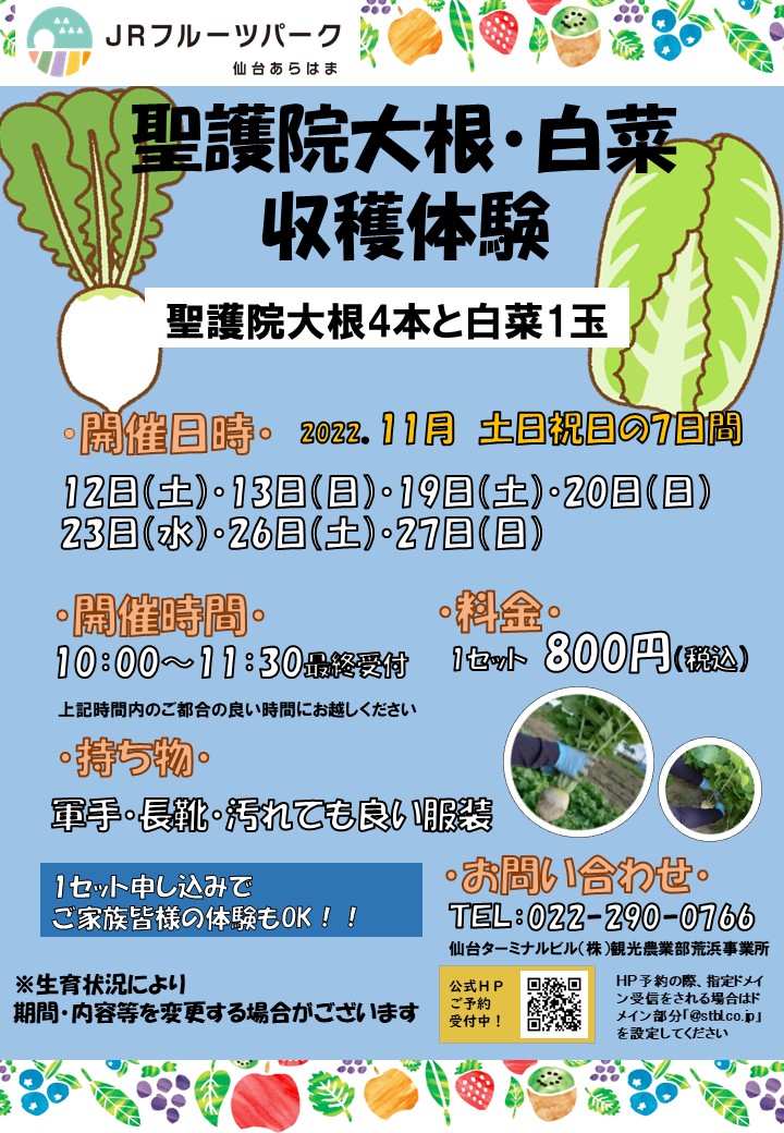 【フルパ2022】聖護院大根・白菜収穫体験