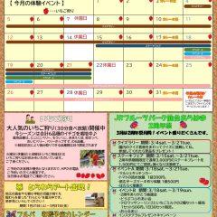 3月のイベント決定！