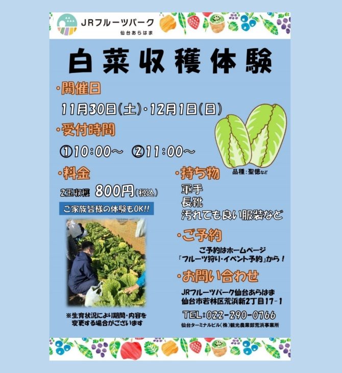 追加開催決定!!白菜収穫体験