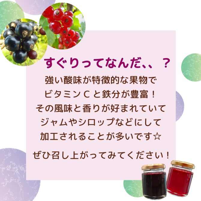 スグリ収穫とジャム作り体験