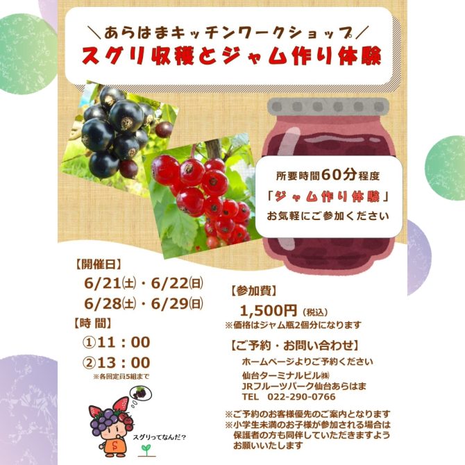 スグリ収穫とジャム作り体験