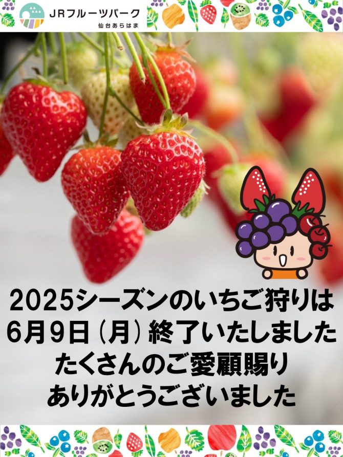 2025シーズンいちご狩り終了