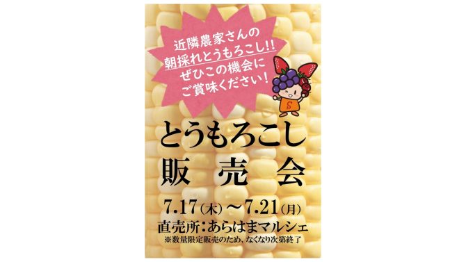 朝採れとうもろこし販売会開催!!