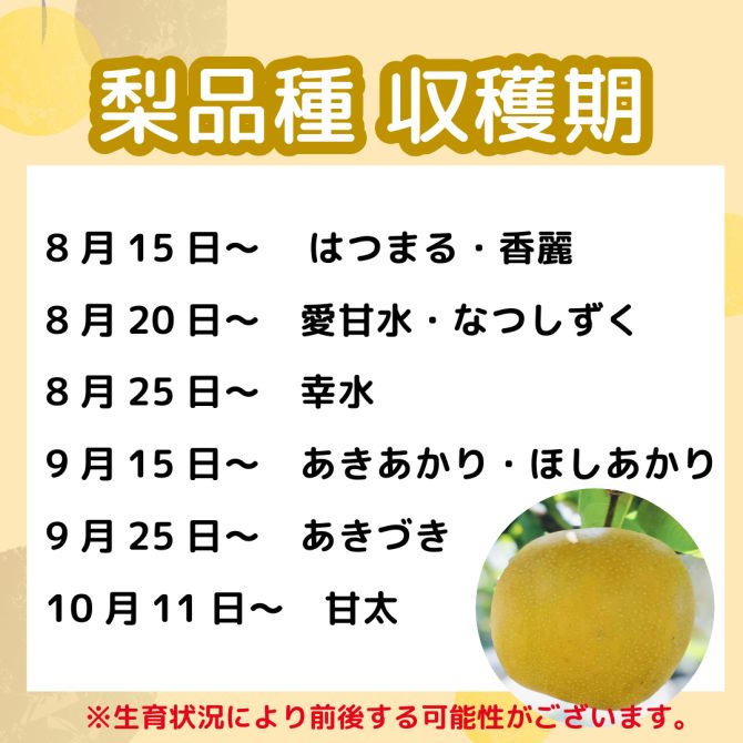 梨狩り　予約スタート！