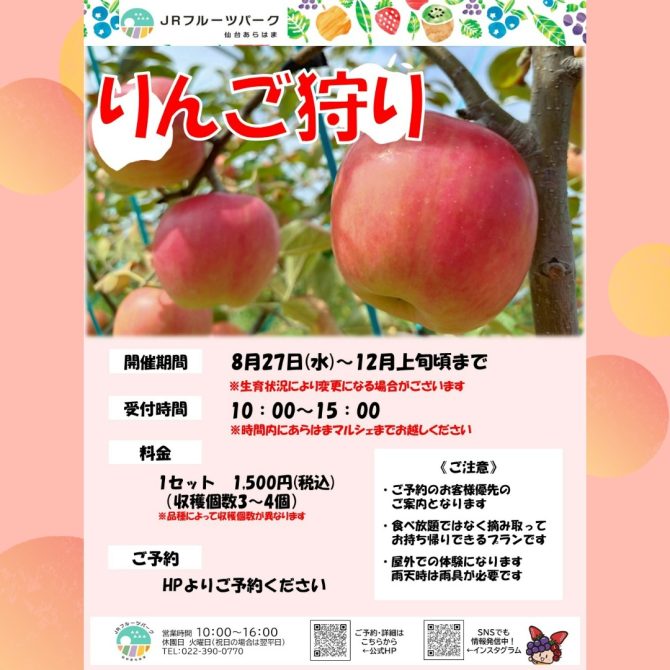 りんご狩り予約スタート!