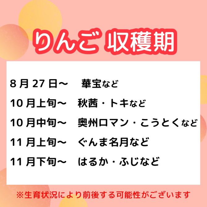 りんご狩り予約スタート!