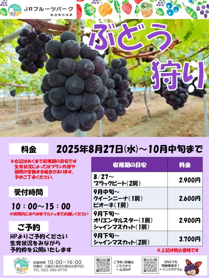 ぶどう狩り予約スタート!