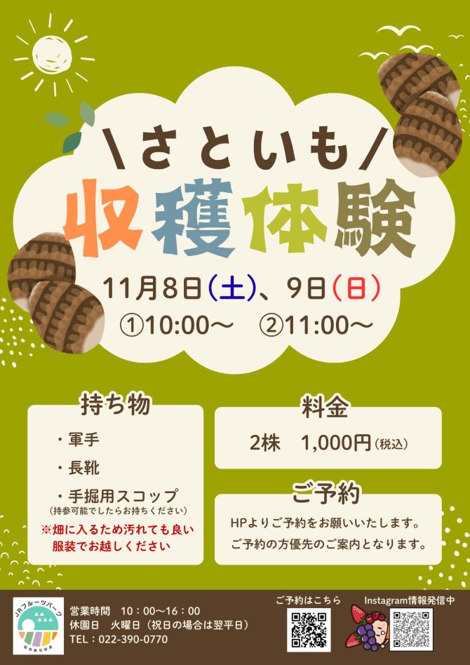 さといも収穫体験開催♪