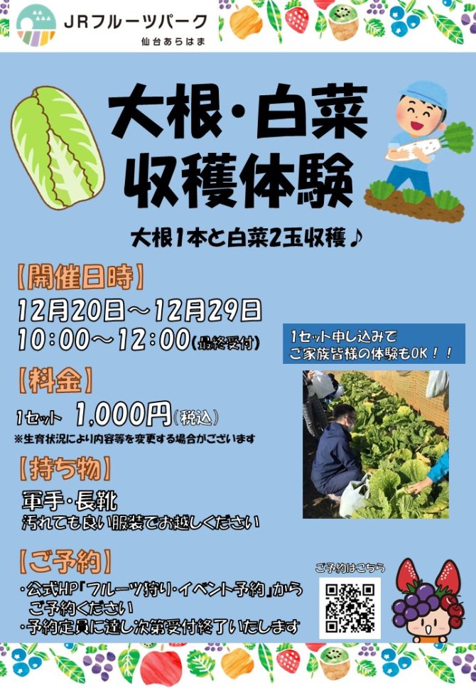 大根・白菜収穫体験