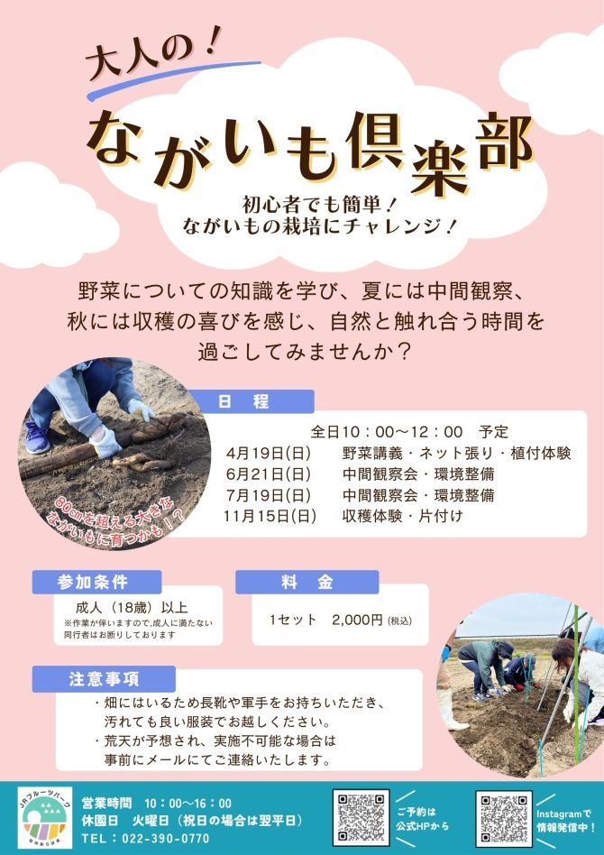 大人のながいも倶楽部