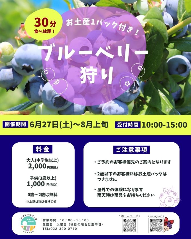 ブルーベリー狩り ご予約受付スタート!