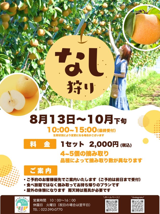 梨狩り予約受付スタート!