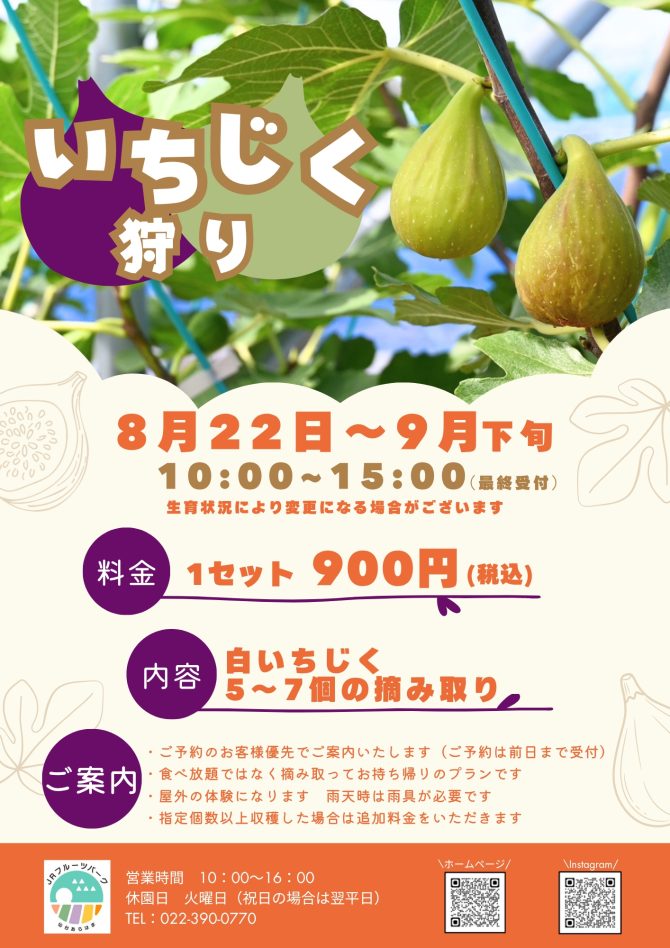 いちじく狩りスタート！