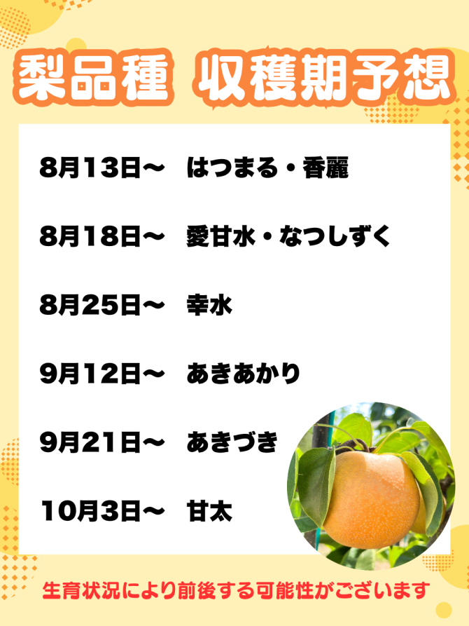 梨狩り予約受付スタート!