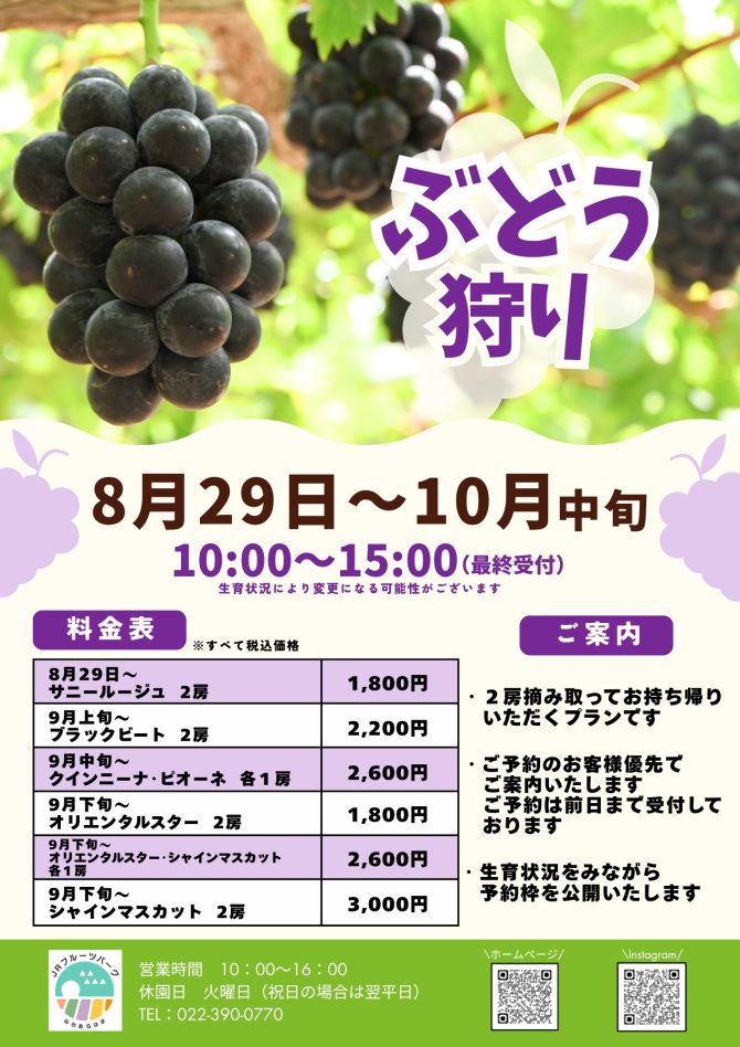 ぶどう狩り 予約開始!
