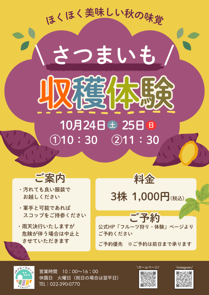 さつまいも収穫体験