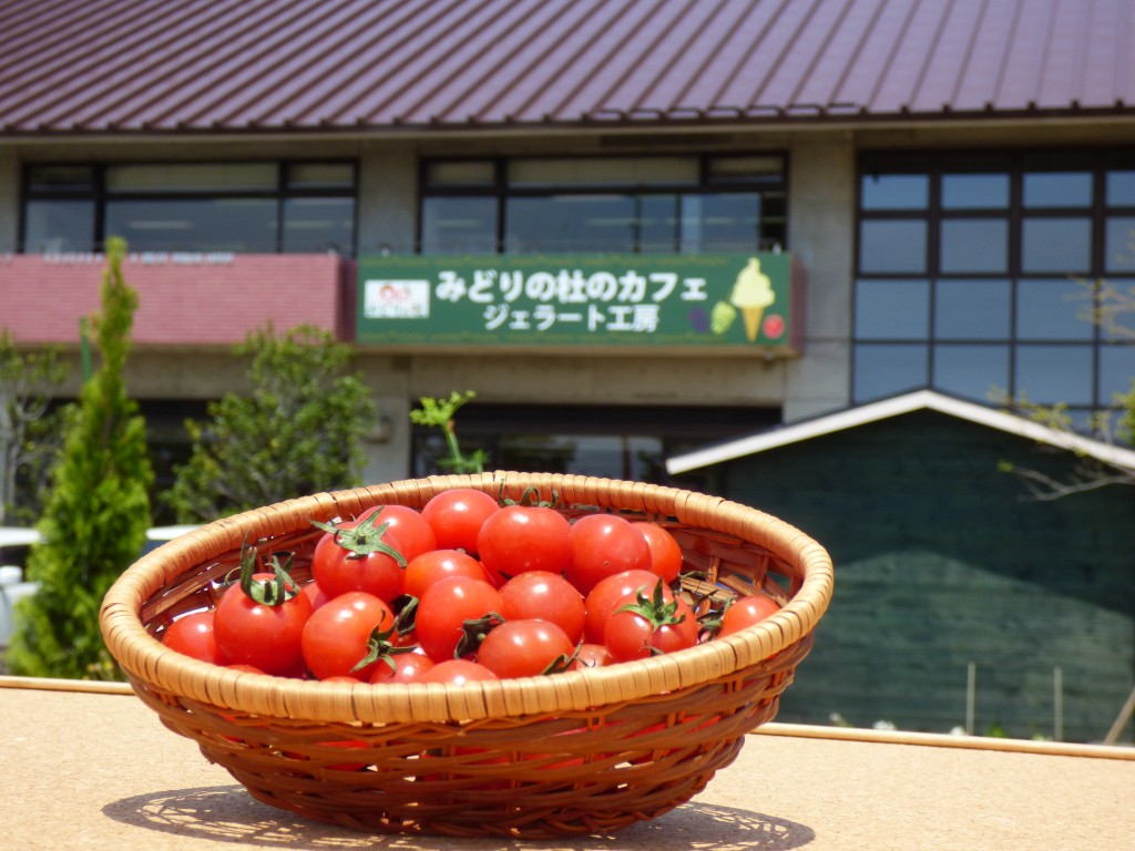 せんだい農業園芸センター みどりの杜 観光果樹園