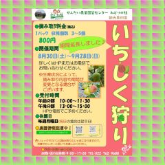 2025いちじく狩りのご案内　→　期間延長しました