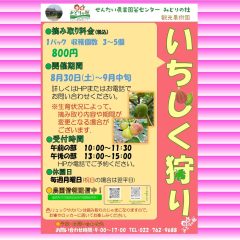 2025いちじく狩りのご案内