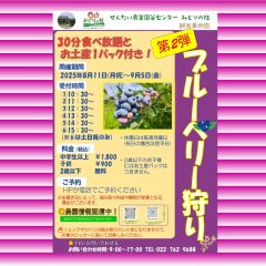 ブルーベリー狩り第2弾のご案内