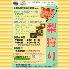 ナシ狩りのご案内