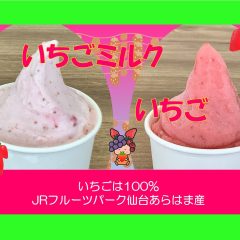 オリジナル　いちごジェラートはじめました