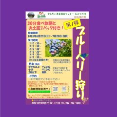 ブルーベリー狩り第1弾のご案内