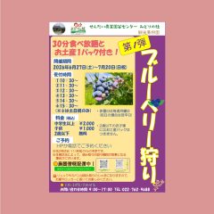 ブルーベリー狩り第1弾のご案内