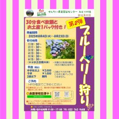 ブルーベリー狩り第2弾のおしらせ