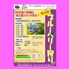 ブルーベリー狩り第2弾のおしらせ