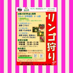 りんご狩りのご案内