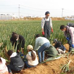 地産地消イベント事業　親子で仙台の農業を知るツアー「秋野菜」の参加者募集