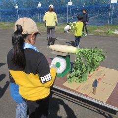 地産地消イベント：令和６年度　親子栽培体験講座を開催しました